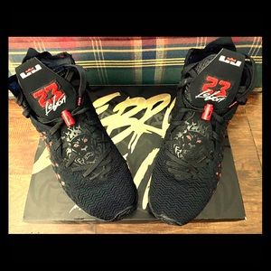 LeBron 17’s.    OBO
